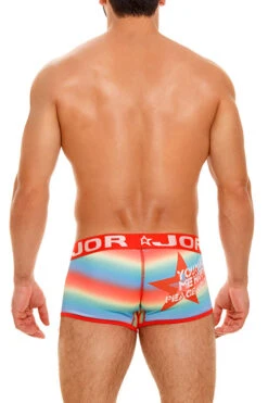 1752 PARTY BOXER PRINTED -JOR Luxe Deals Store 1752 PARTY BOXER PRINTED 2