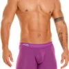 1834 DAILY LONG BOXER PURPLE