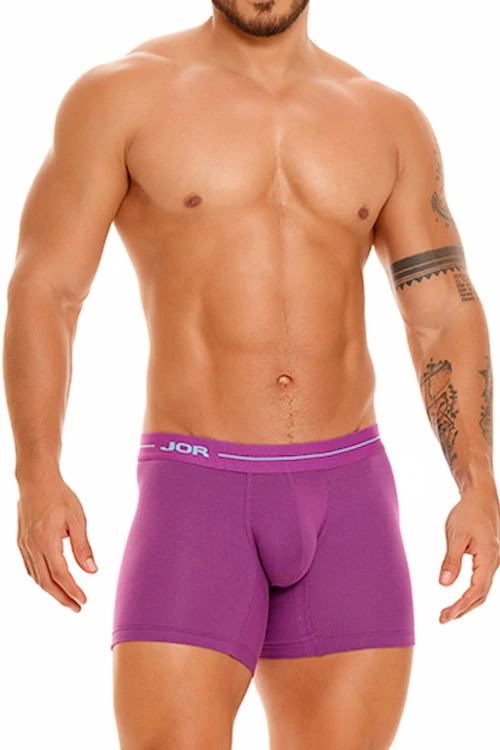 1834 DAILY LONG BOXER PURPLE 1 1834 DAILY LONG BOXER PURPLE