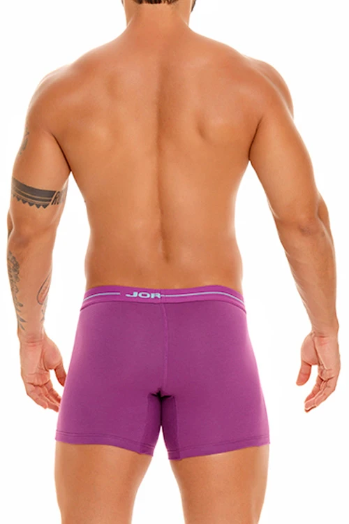 1834 DAILY LONG BOXER PURPLE 2 1834 DAILY LONG BOXER PURPLE - Image 2