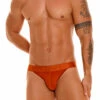 1863 ELEMENT THONG TERRACOTTA