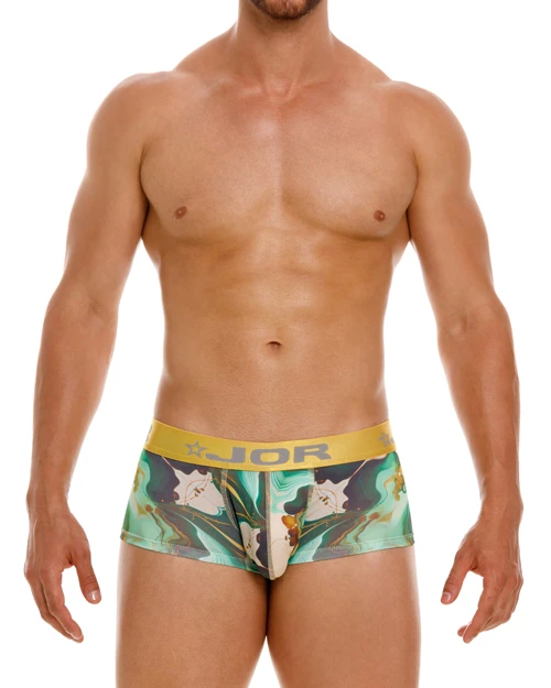 2080 DUBLIN BOXER PRINTED 1 2080 DUBLIN BOXER PRINTED