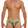 2081 DUBLIN BRIEF PRINTED
