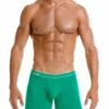 2145 DAILY LONG BOXER GREEN